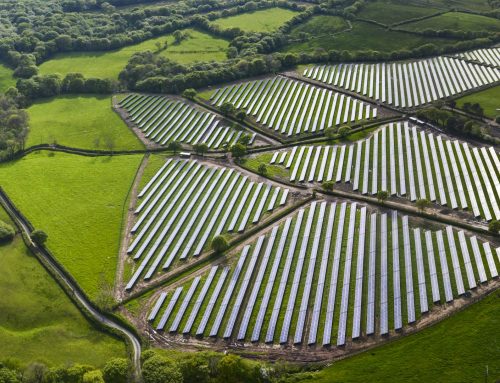 ¿Los parques fotovoltaicos benefician a la naturaleza?