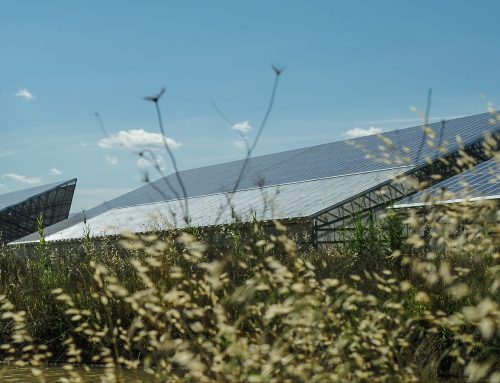 Castilla La Mancha, el futuro de la energía fotovoltaica en España